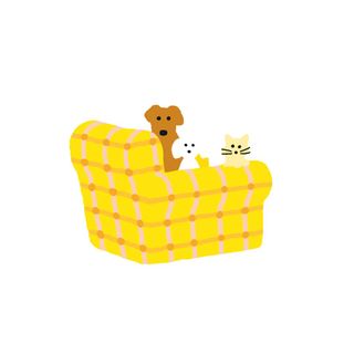 (Category: ) located in . Submitted by cerealtea (Listing ID 1167361316, Image 1). Description: .