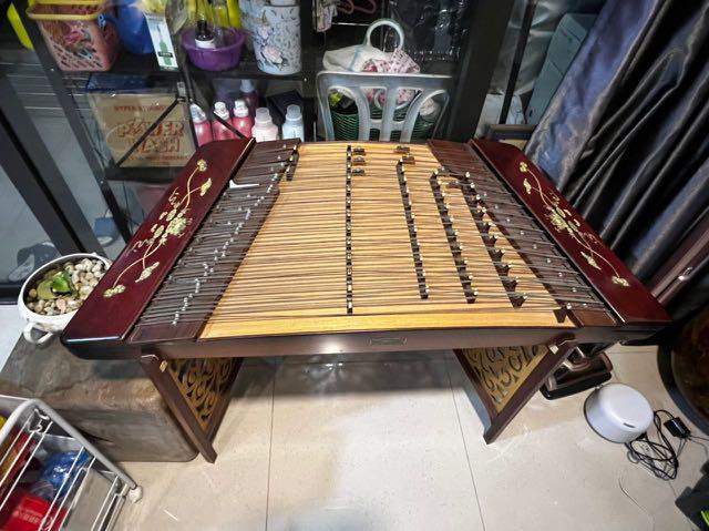 Yang qing chinese store instrument