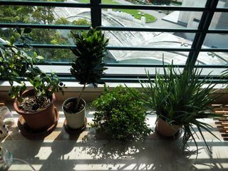 (Category: ) located in . Submitted by liathomas (Listing ID 1167431432, Image 1). Description: .