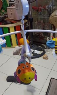 (Category: ) located in . Submitted by jumbotiny (Listing ID 1167573910, Image 1). Description: .