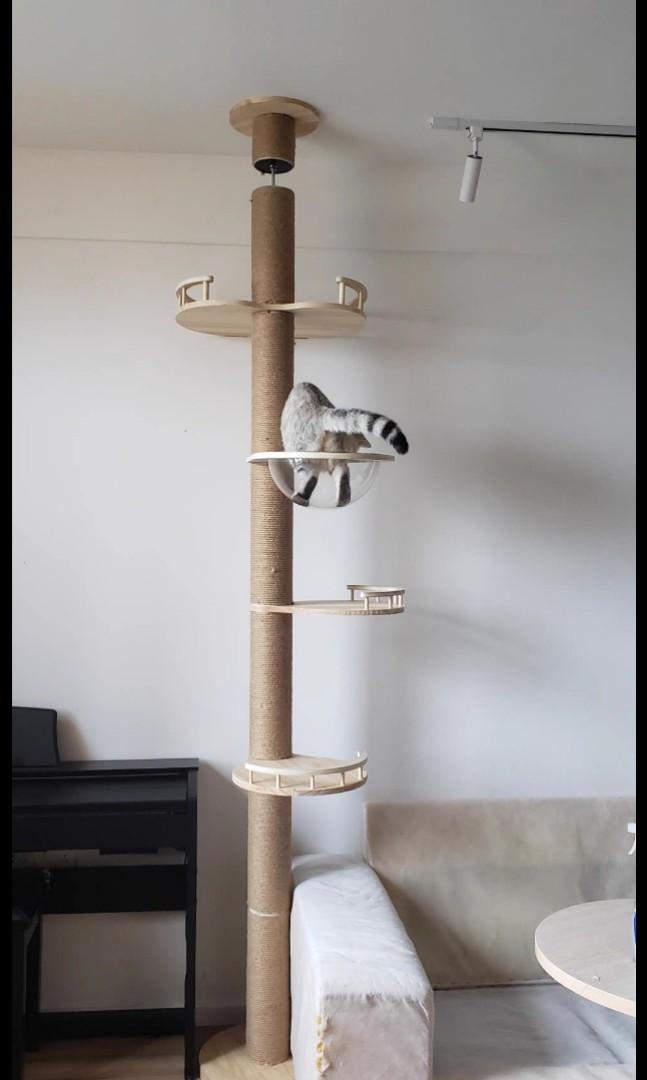Diy floor to ceiling cat deals pole
