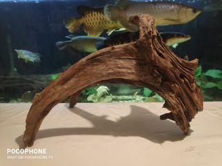 Driftwood