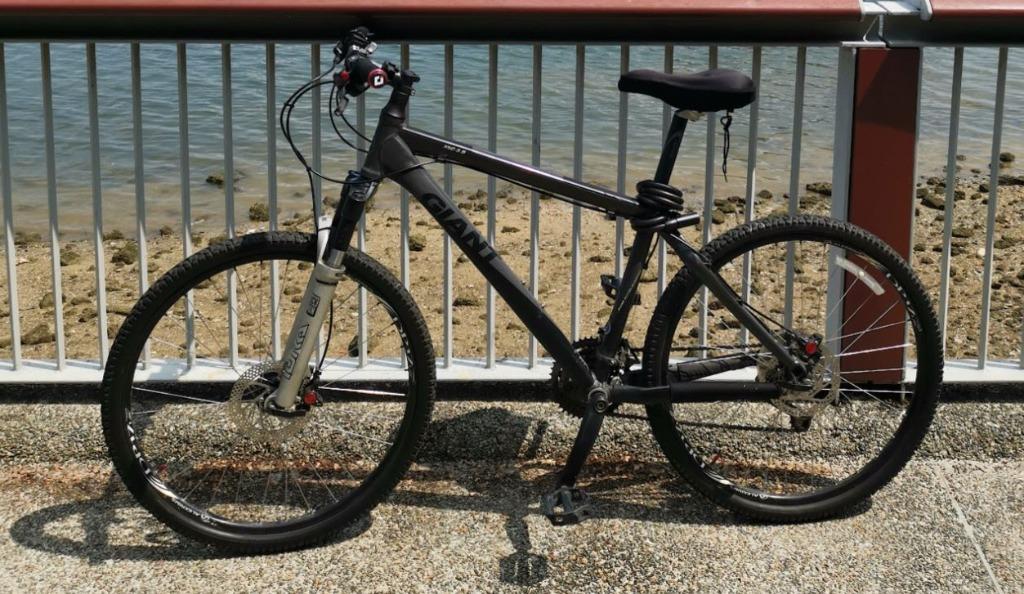 Giant xtc on sale 3.5