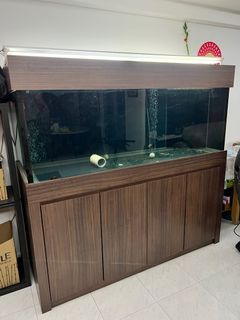 (Category: ) located in . Submitted by lowtm (Listing ID 1167562964, Image 1). Description: .