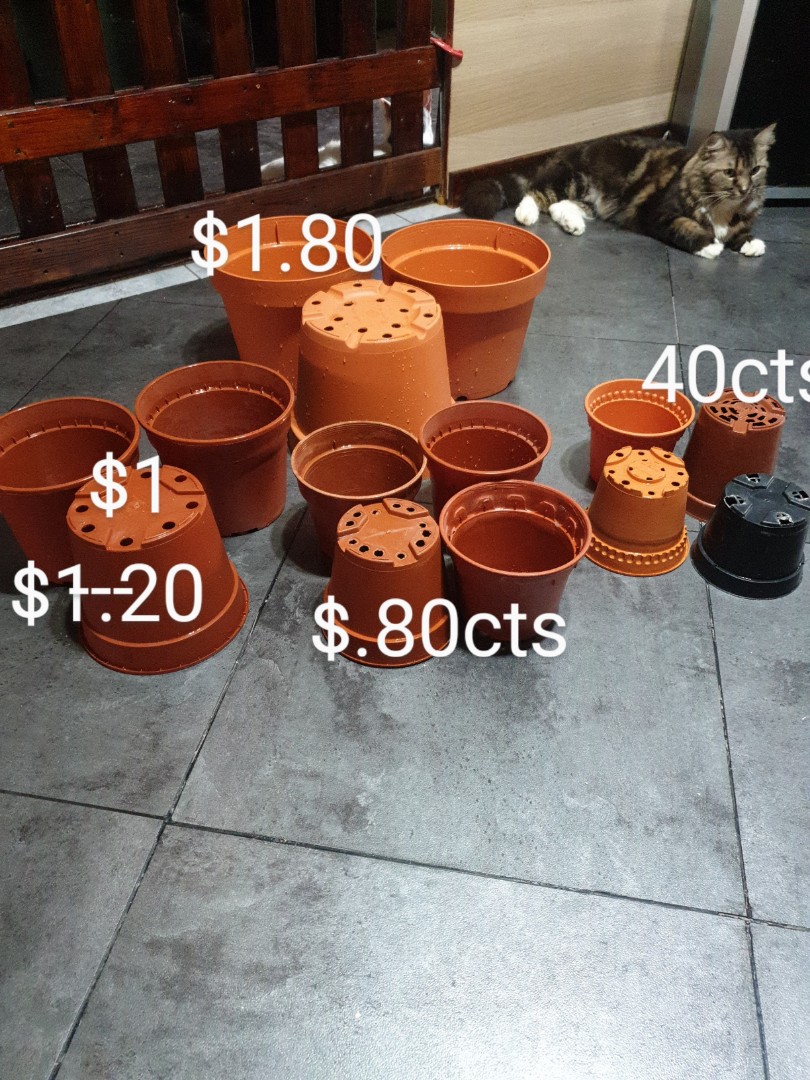 Plant pots cheap, Furniture & Home Living, Gardening, Pots