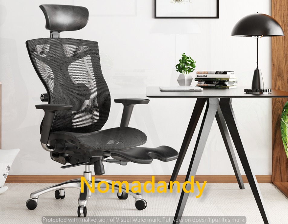 Sihoo V1 Ergonomic Office Chair with Adjustable Lumbar Support 4D