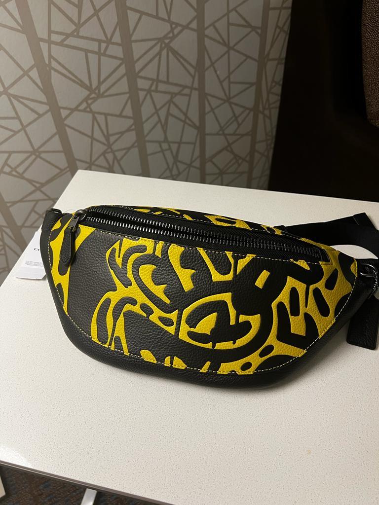 Keith haring shop coach bag