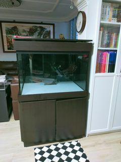 (Category: ) located in . Submitted by raymone (Listing ID 1164216124, Image 1). Description: .