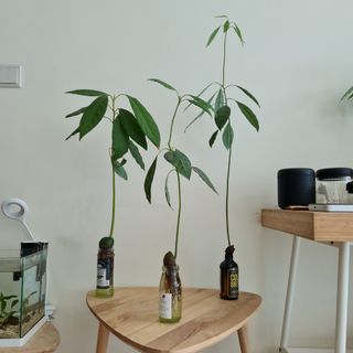 (Category: ) located in . Submitted by therelocators (Listing ID 1164100328, Image 1). Description: .