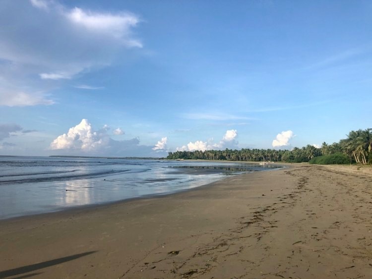 Beach Lot For Sale Palawan City, Property, For Sale, Lot on Carousell