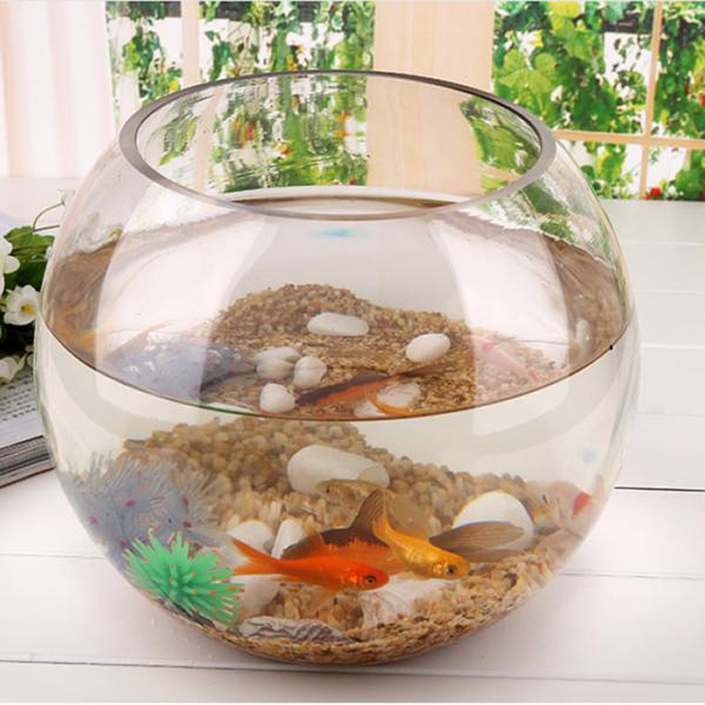 Bowl Aquarium Small, Pet Supplies, Homes & Other Pet Accessories on