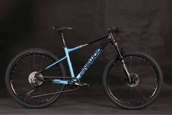 Pinewood storm 2025 29er