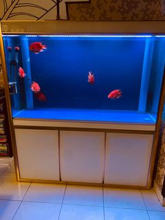 (Category: ) located in . Submitted by msr76 (Listing ID 1164205679, Image 1). Description: .