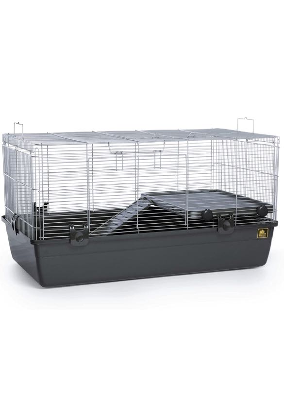 Top shop rated hamster