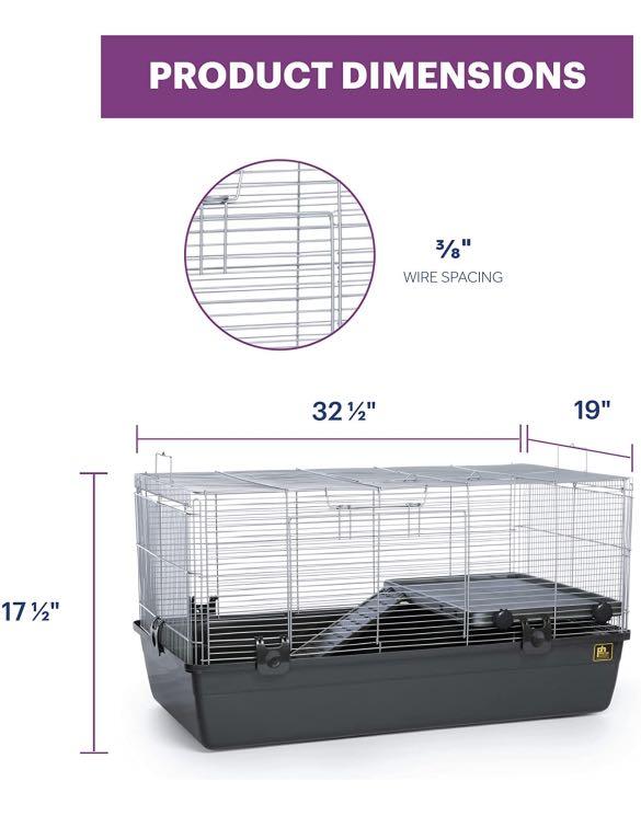 Top rated best sale hamster