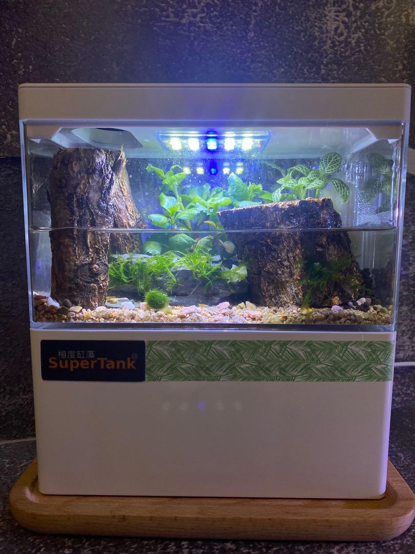 迷你usb水陸造景魚缸 全套連造景 包4件工具 日式木托盤 小風扇 Aquascape Nano Fish Tank 生態缸自然缸草缸風水缸擺設懶人魚缸可養魚蝦不需co2 包一年保養 寵物用品 寵物家品及其他