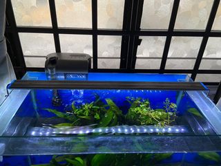 (Category: ) located in . Submitted by akk06 (Listing ID 1167631714, Image 1). Description: .