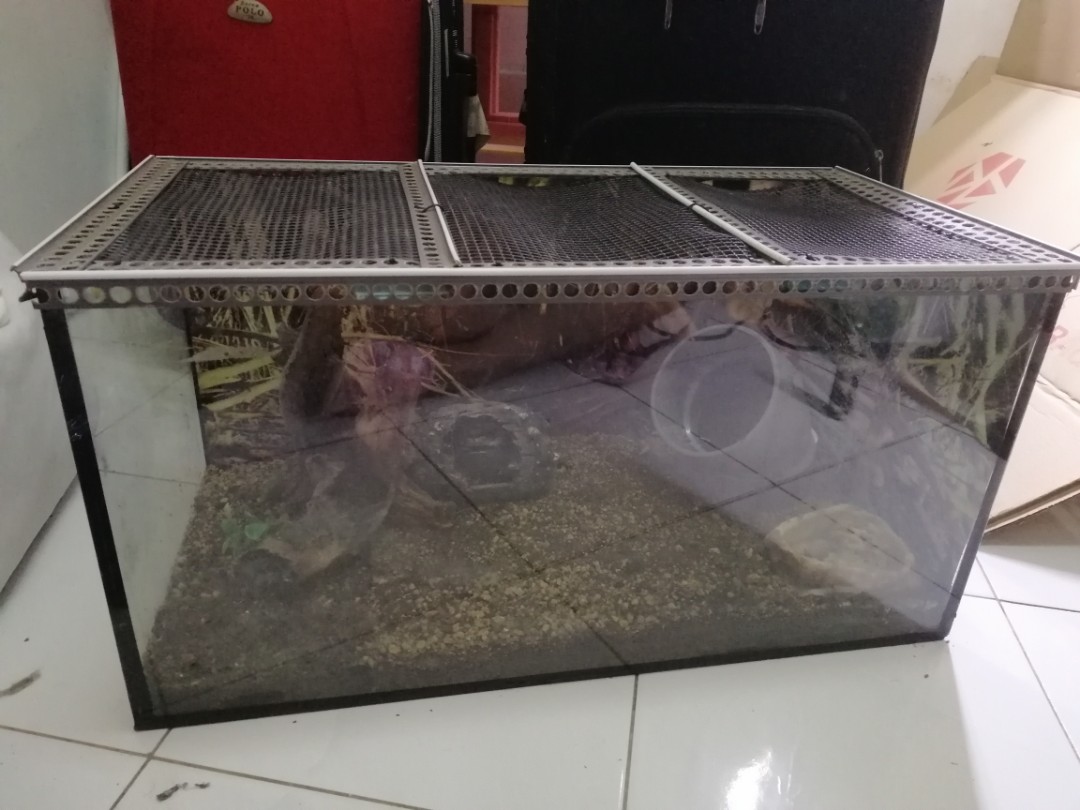 Aquarium for tarantula/lizard/scorpion, Pet Supplies, Homes & Other Pet
