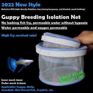 Affordable guppy For Sale