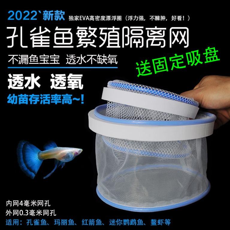 Betta online breeding supplies