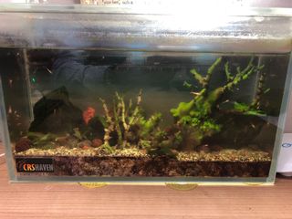 (Category: ) located in . Submitted by kaneyong7 (Listing ID 1167716152, Image 1). Description: .