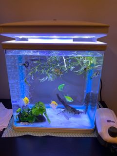 (Category: ) located in . Submitted by wcq11 (Listing ID 1167747799, Image 1). Description: .
