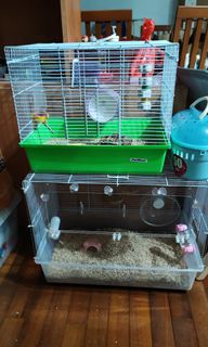 (Category: ) located in . Submitted by coolkenny (Listing ID 1167627281, Image 1). Description: .