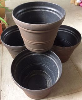 (Category: ) located in . Submitted by garden_pride (Listing ID 1167627295, Image 1). Description: .