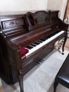 Piano Weinstein Curvex Acousticon