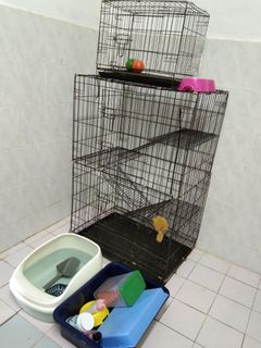 (Category: ) located in . Submitted by fatinfatine07 (Listing ID 1167643534, Image 1). Description: .