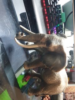 (Category: ) located in . Submitted by Fonfonfonfonful (Listing ID 1167786162, Image 1). Description: .