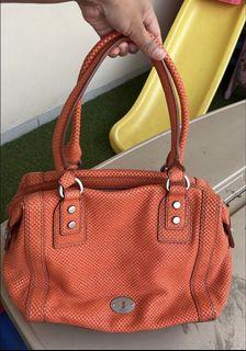 Tas fossil authentic