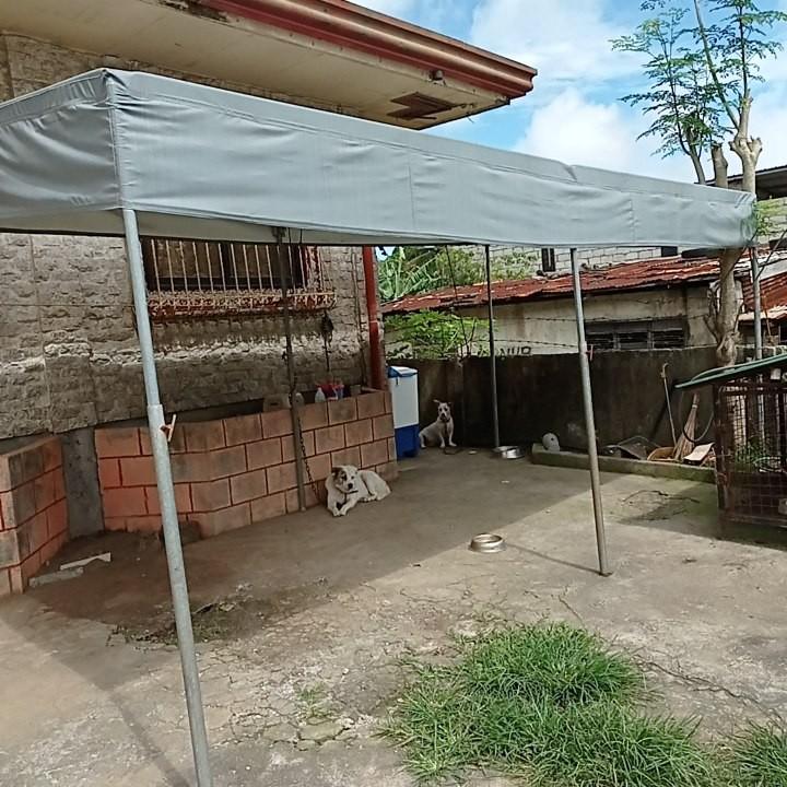 8x16 canopy sale