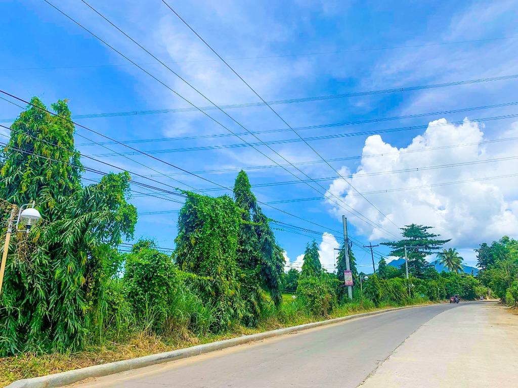 31K SQM Lot for Sale Tanauan Batangas Near Star Tollway Agricultural