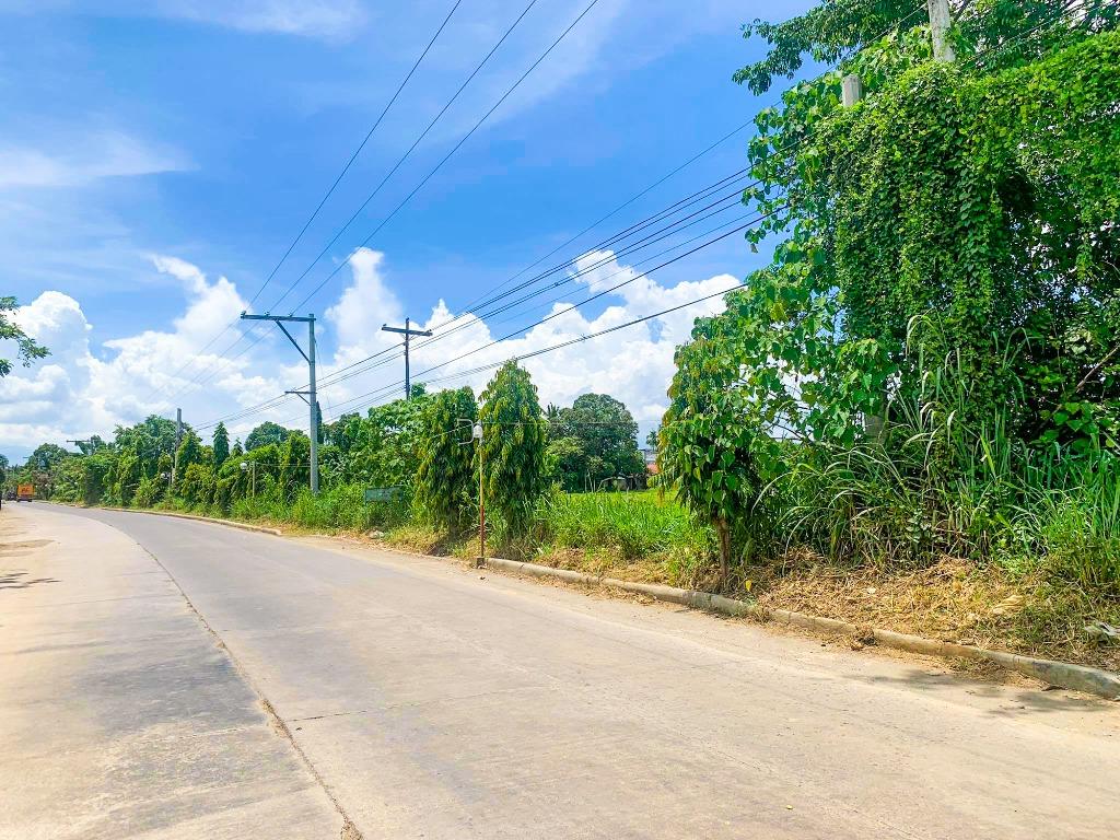 31K SQM Lot for Sale Tanauan Batangas Near Star Tollway Agricultural