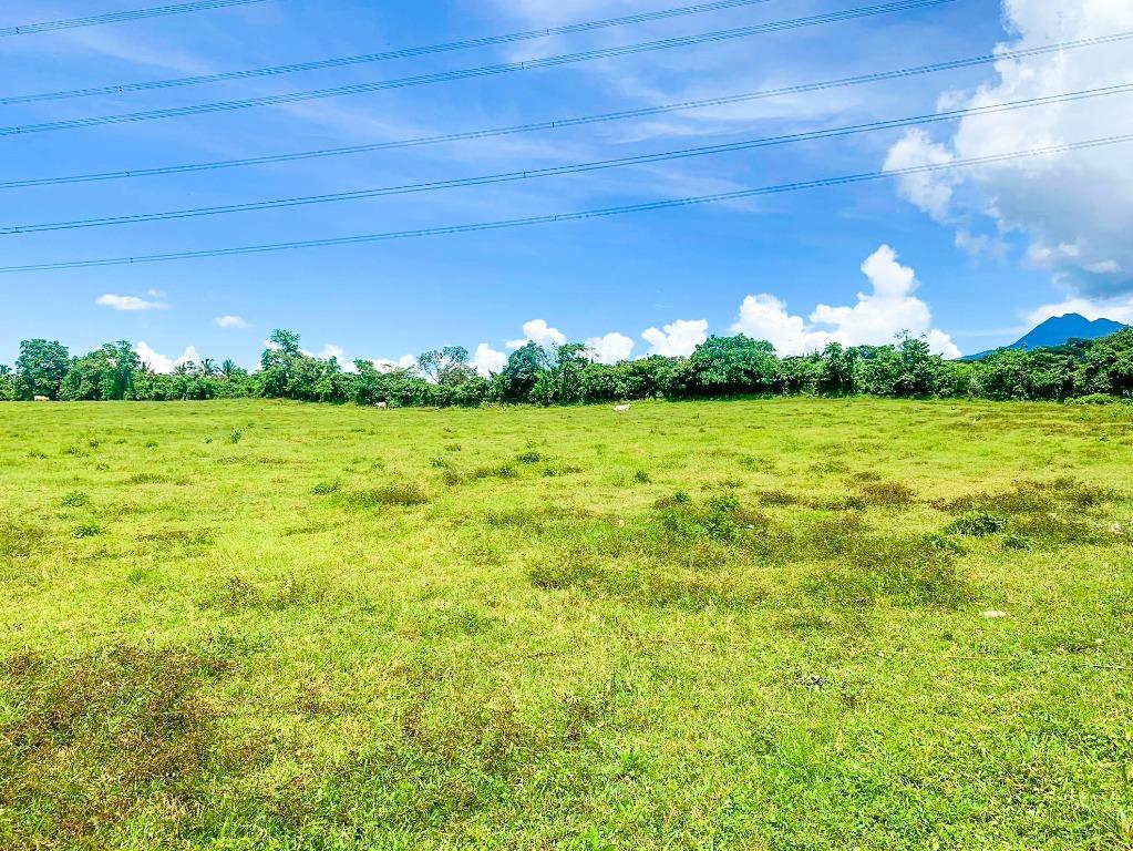 31K SQM Lot for Sale Tanauan Batangas Near Star Tollway Agricultural