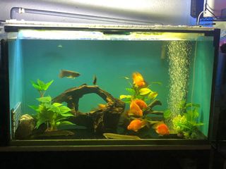 (Category: ) located in . Submitted by toffeelatte25 (Listing ID 1167940966, Image 1). Description: .