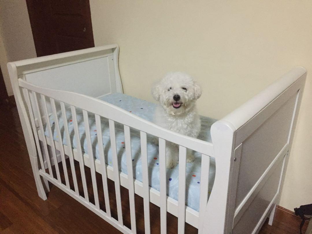 Dwelling Wooden Crib without Mattress (Category: Cots & Cribs) located in San Juan City. Submitted by donnakona (Listing ID 1167835480, Image 2). Description: Mattress and dog NOT INCLUDED. Complete parts. Already dismantled. .