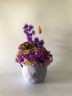 Luminosa Fleur Dried Flower Arrangement in Ceramic Pots