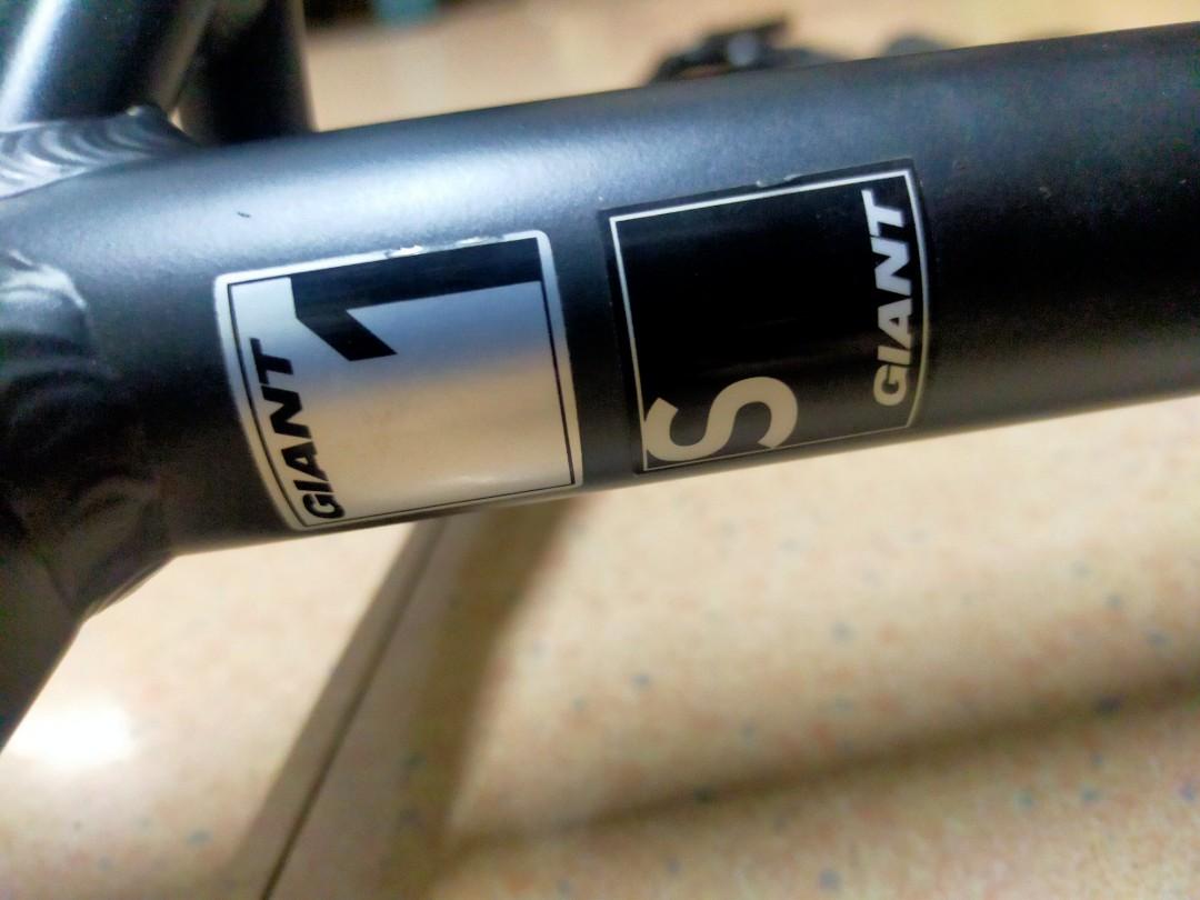 Talon giant 2025 2019