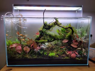 (Category: ) located in . Submitted by skye_tan (Listing ID 1167858329, Image 1). Description: .