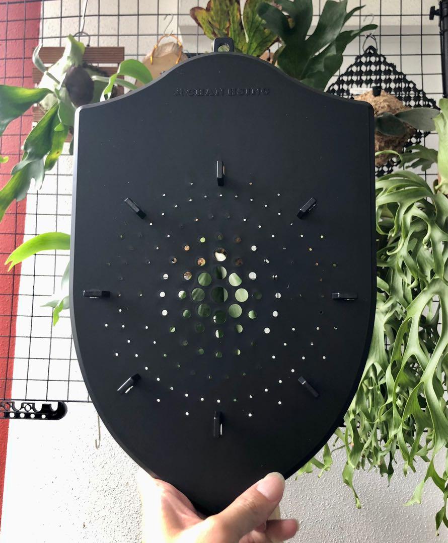 Mounting board for staghorn fern / platycerium, Furniture & Home Living