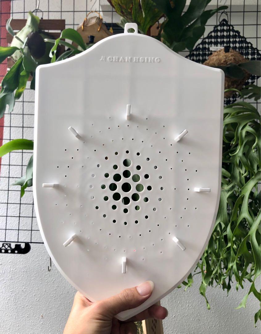 Mounting board for staghorn fern / platycerium, Furniture & Home Living