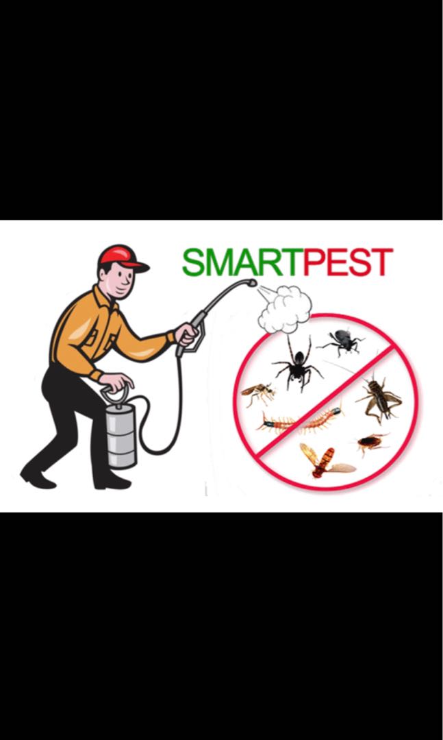 NEA Certified Pest Control Service And Treatment At Affordable Rates