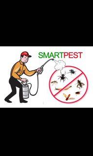 NEA Certified Pest Control Service And Treatment At Affordable Rates: Mosquitoes, Bedbugs, Cockroach, Rats, Ants, Termites, Booklice 