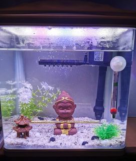 (Category: ) located in . Submitted by richhwang (Listing ID 1167913225, Image 1). Description: .
