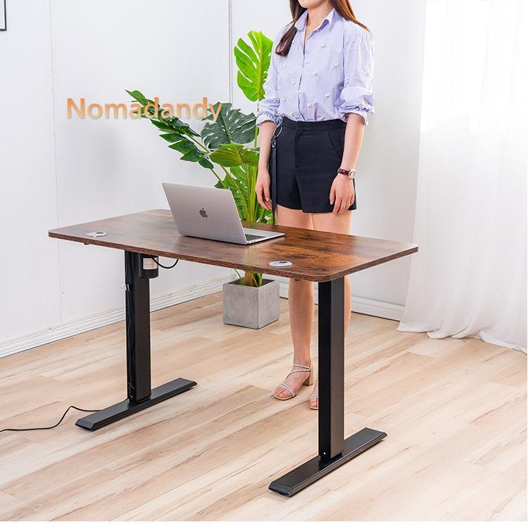 Standing Electric Height Adjustable Table Office Work Station with