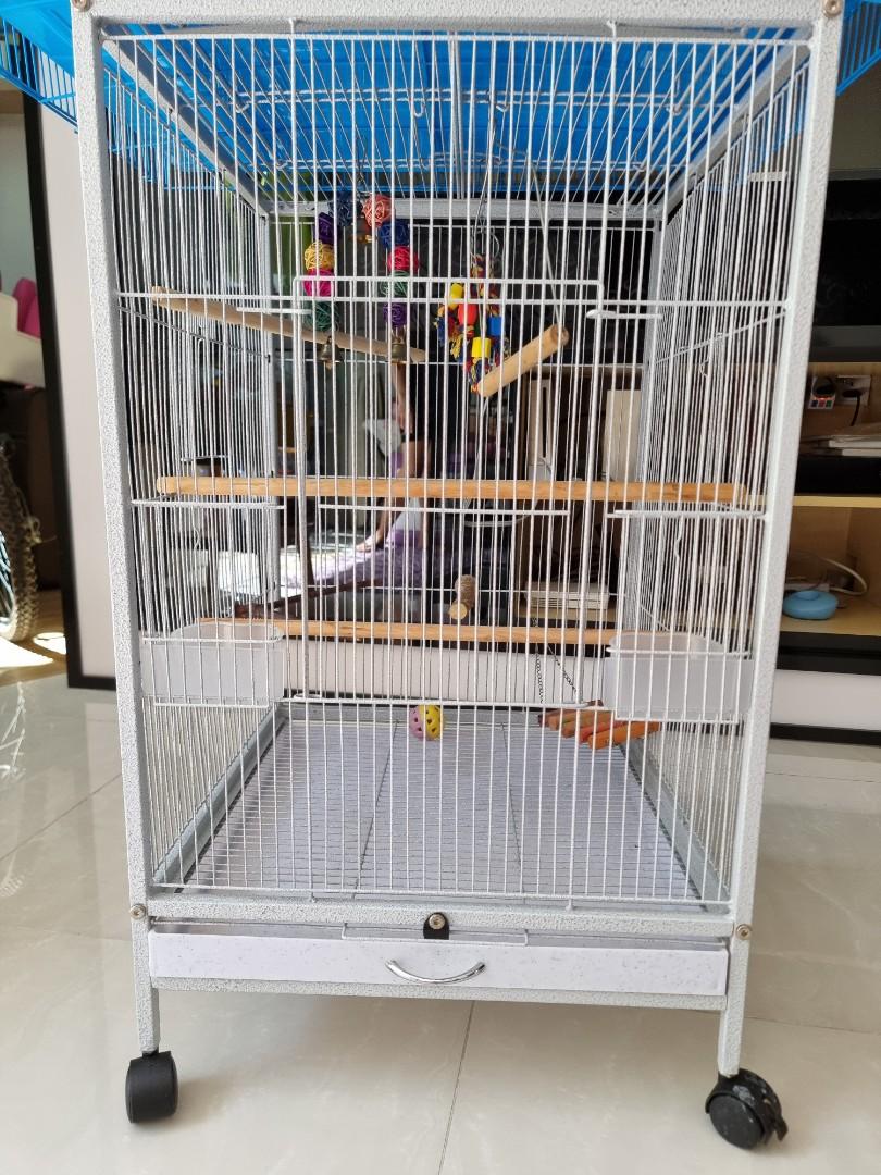 2 Lightly used Bird Cages Pet Supplies Homes Other Pet