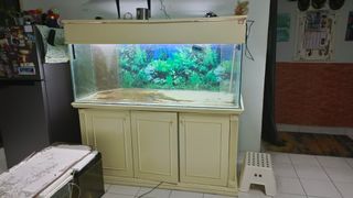 (Category: ) located in . Submitted by adambukhari89 (Listing ID 1168043021, Image 1). Description: .