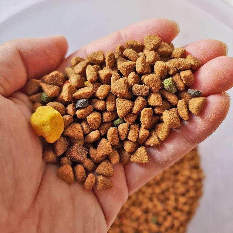 What Is The Cheapest Dog Food